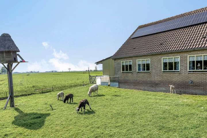 Foto 46 van Achtersloot 41-B