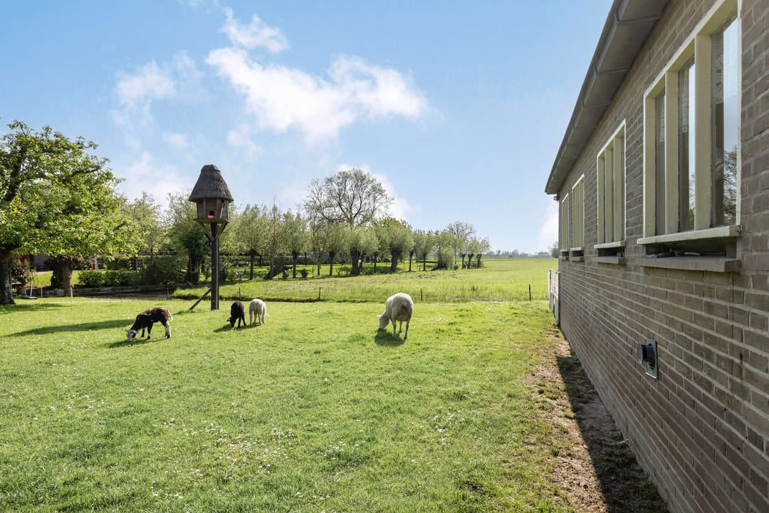 Foto 47 van Achtersloot 41-B