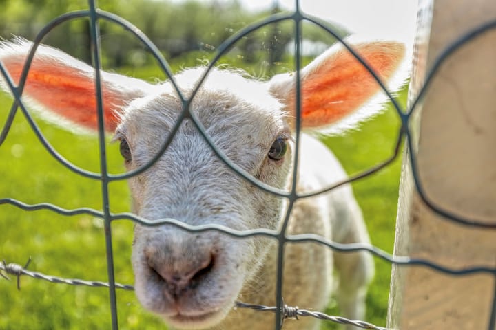 Foto 65 van Achtersloot 41-B