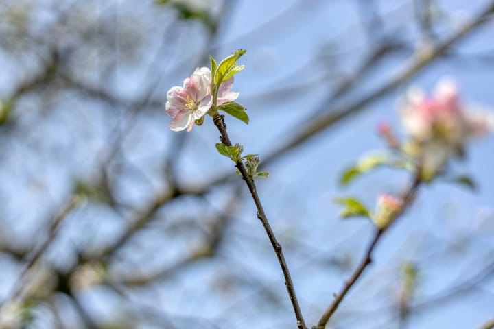 Foto 66 van Achtersloot 41-B