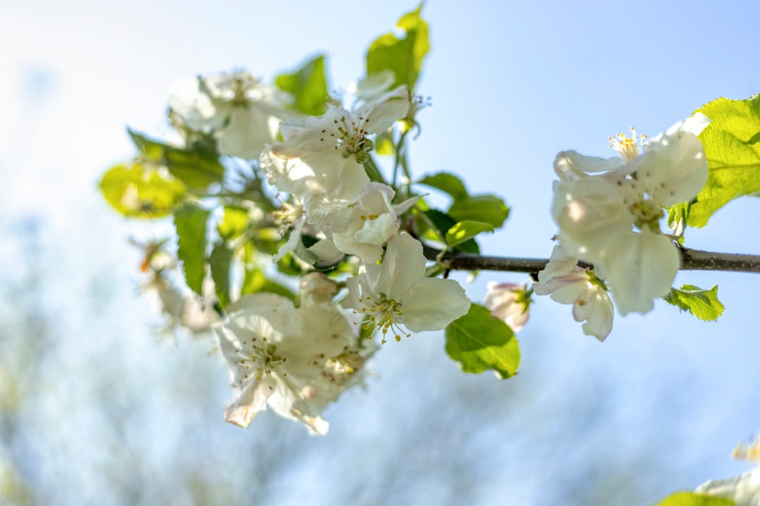 Foto 67 van Achtersloot 41-B