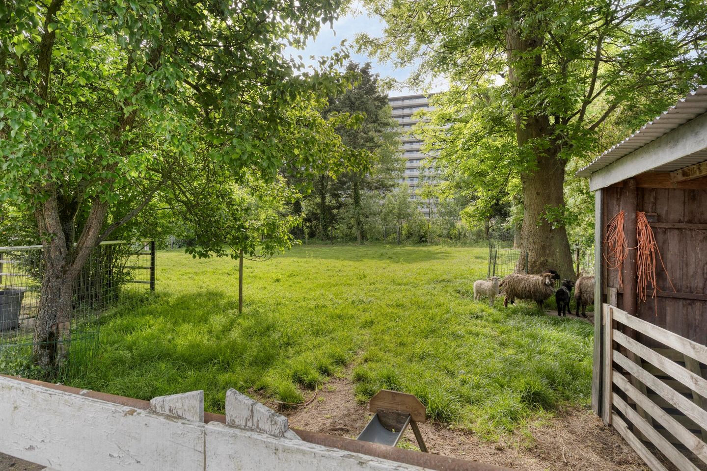 Foto 5 van 's-Gravenweg 356