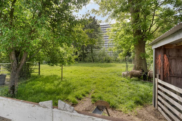 Foto 5 van 's-Gravenweg 356