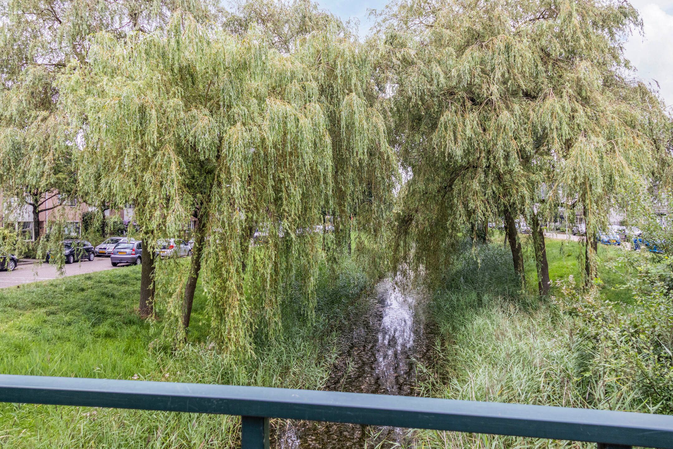 Foto 42 van Palmedreef 27