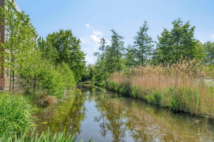 Photo 25 of Frederik van Eedenplaats 57