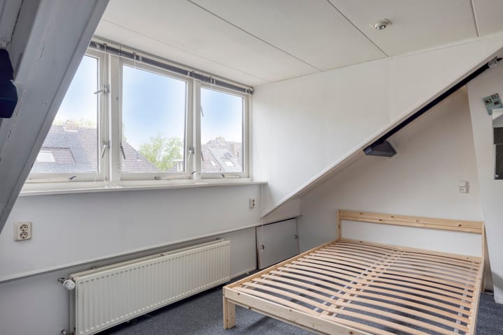 Foto 22 van Vingboonsstraat 9