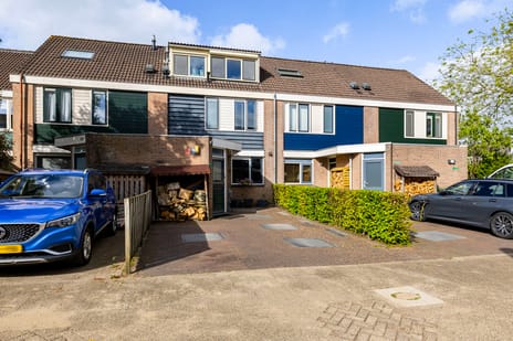 undefined main image