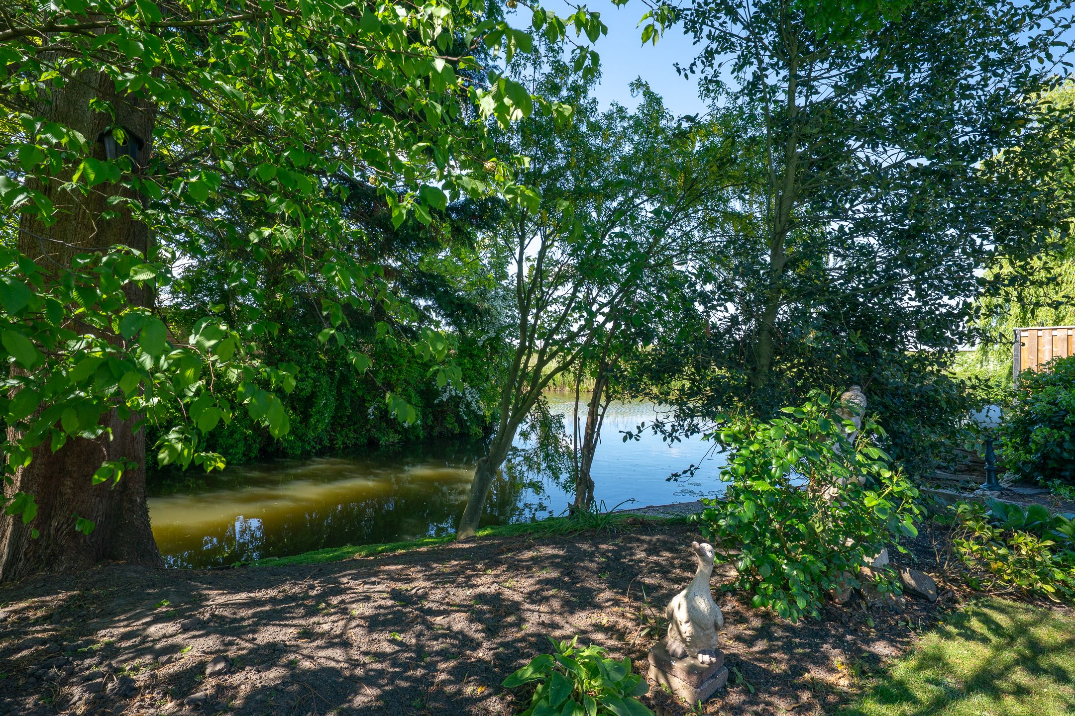 Foto 48 van Dokter Lohmanstraat 1