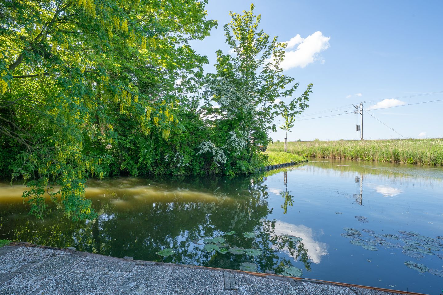 Foto 55 van Dokter Lohmanstraat 1