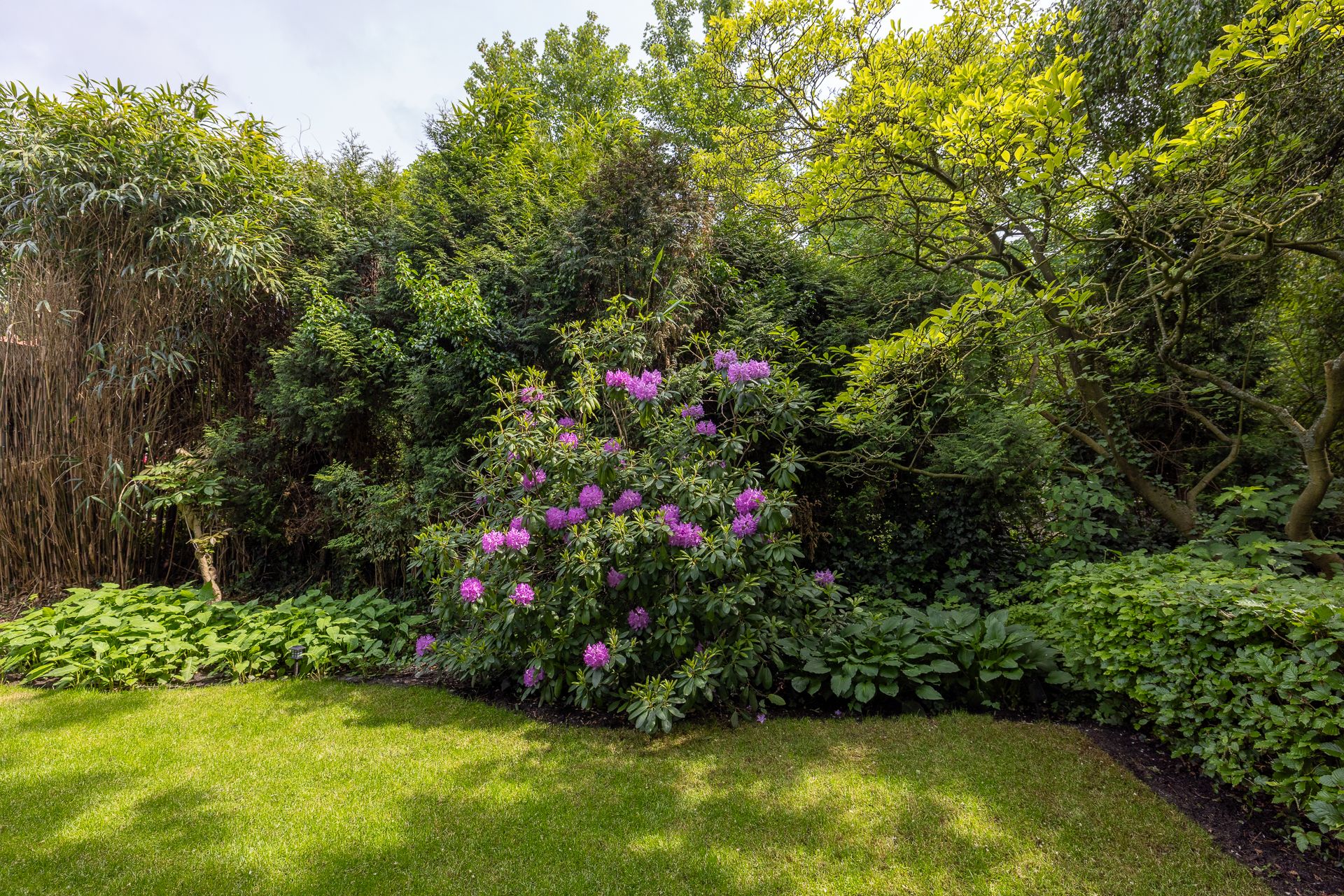 Foto 51 van Rotterdamse Rijweg 104