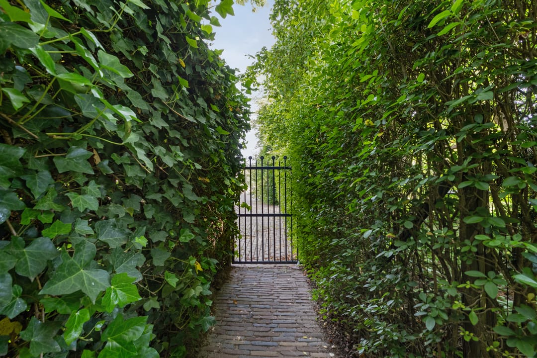 Foto 47 van Weezenhof 7208