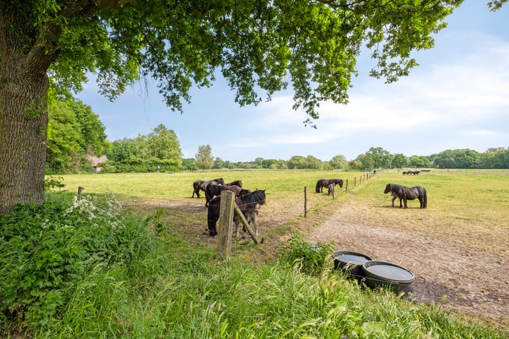 Foto 59 van Wilgenkamp 12