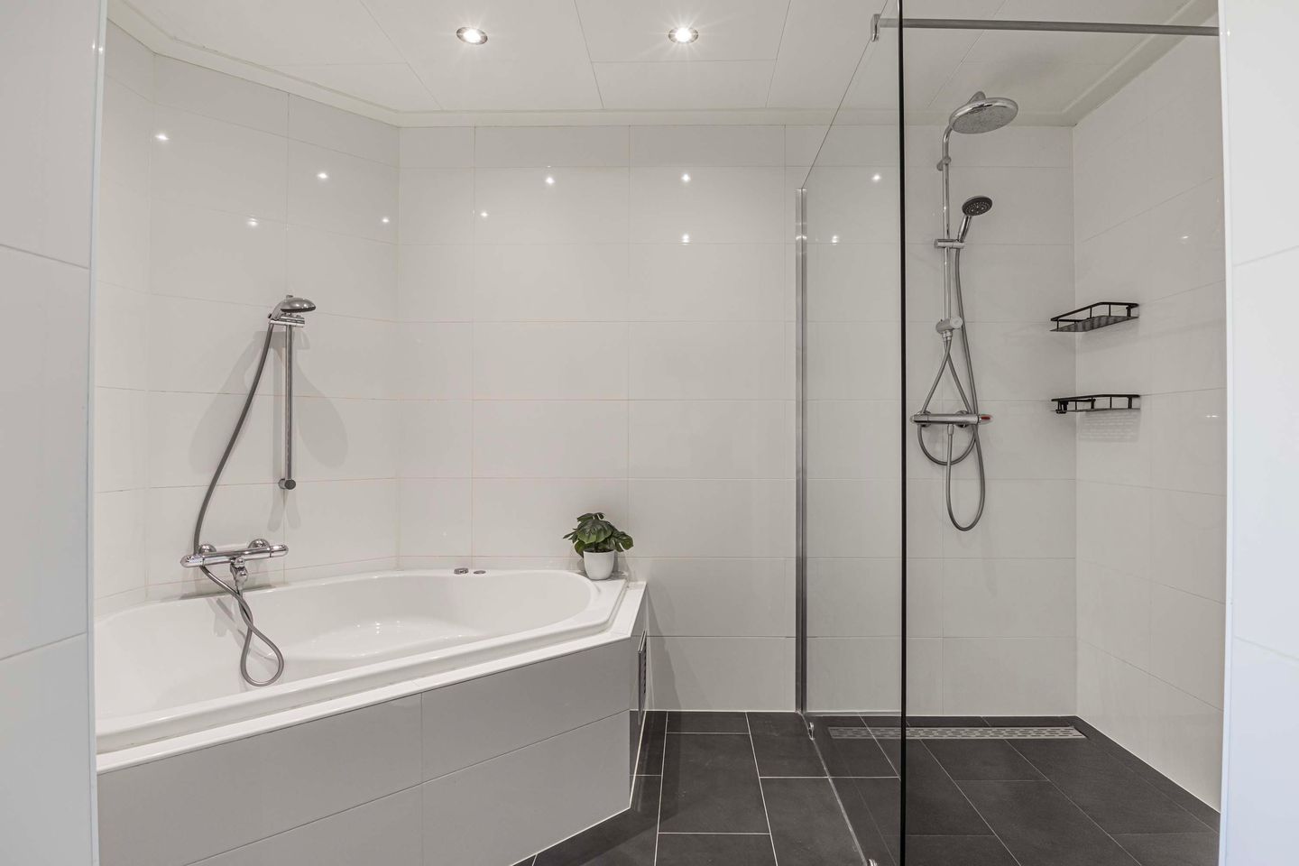 Foto 20 van Palmstraat 304