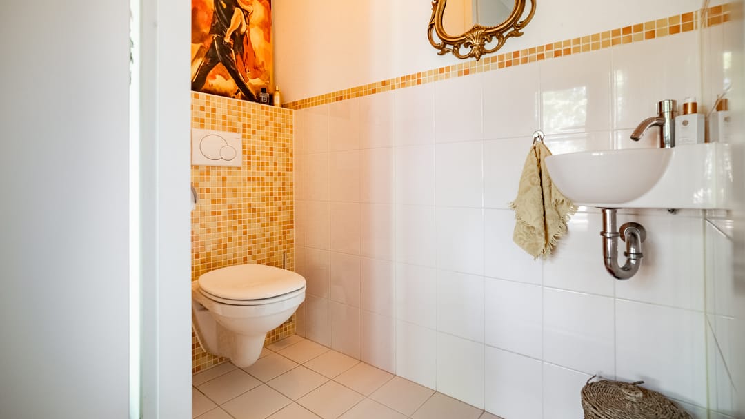 Foto 11 van Bassin 5