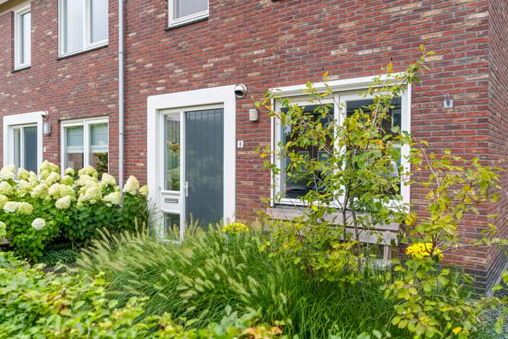 Foto 8 van Meidoorn 8