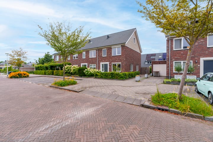 Foto 5 van Meidoorn 8