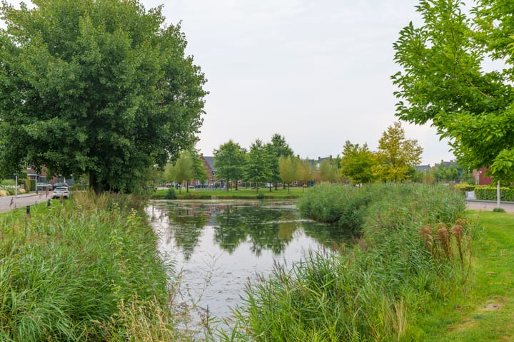 Foto 24 van Meidoorn 8