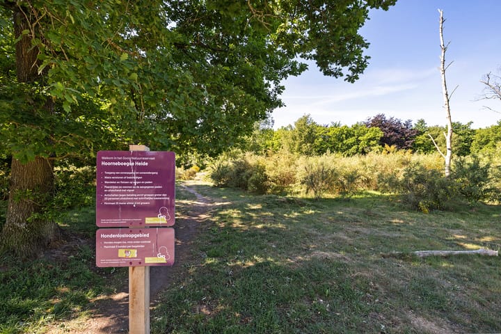 Photo 26 of Kolhornseweg 178