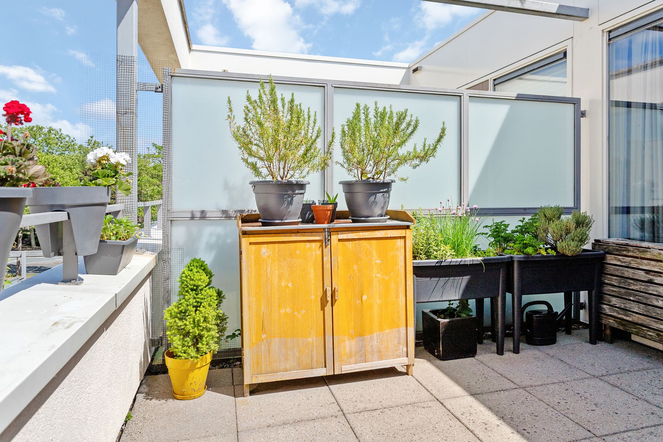 Foto 27 van IJsvogelhof 3