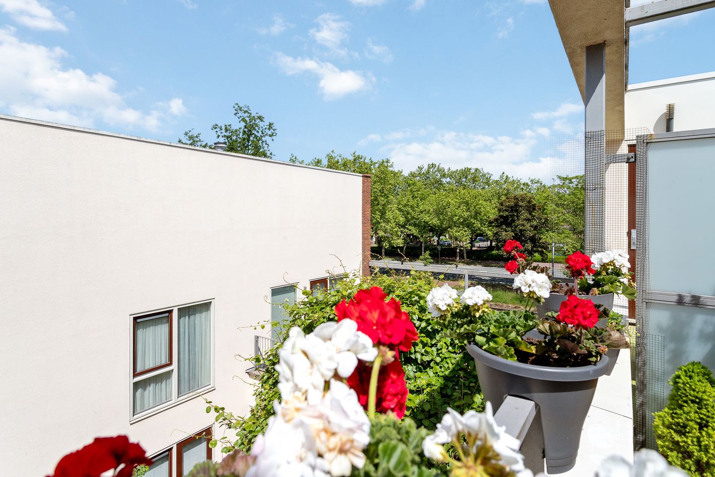 Foto 29 van IJsvogelhof 3