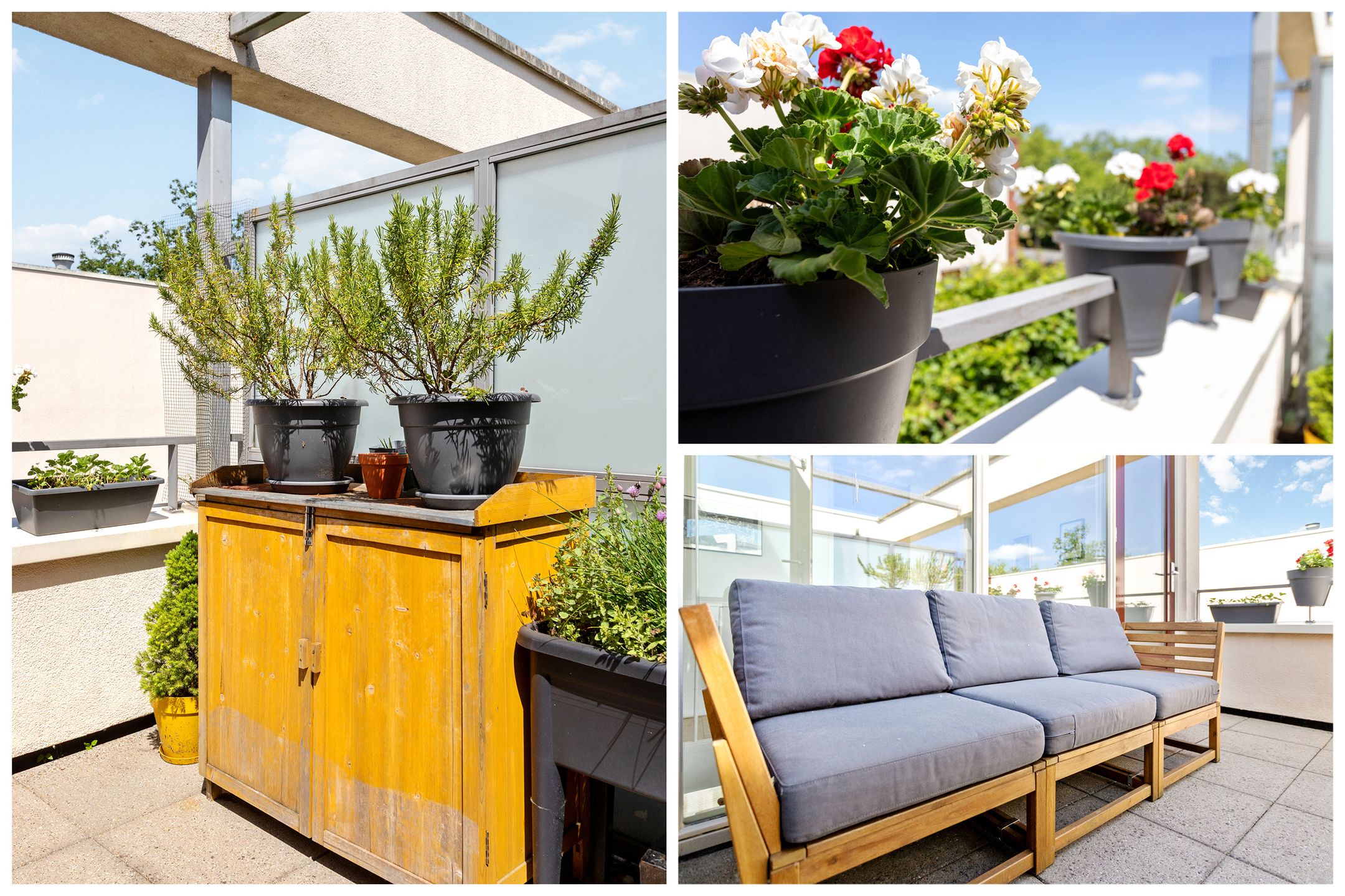 Foto 30 van IJsvogelhof 3