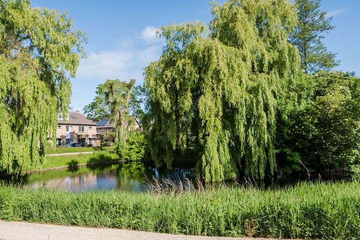 Foto 56 van Korteweide 182