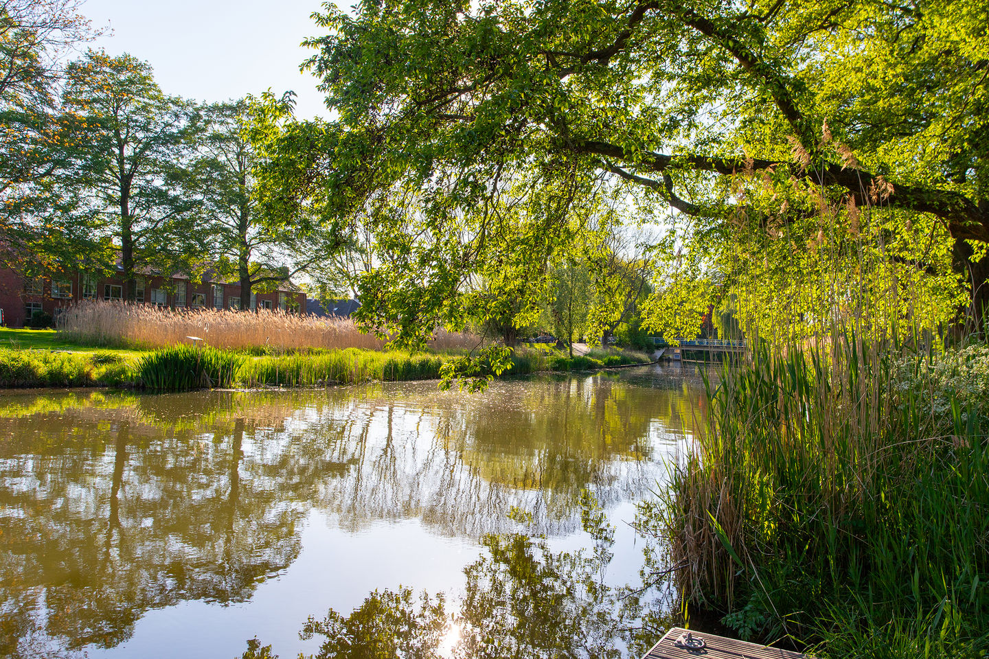 Foto 34 van IJsvogelhof 3