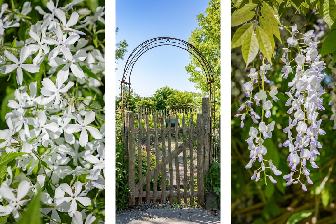 Photo 31 of Warder 13