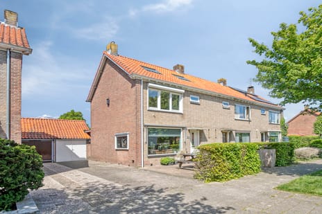 undefined main image