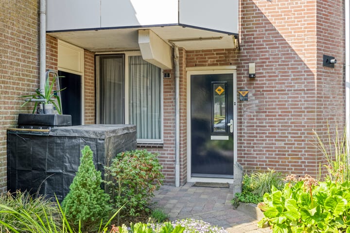 Foto 5 van Korhoender 91