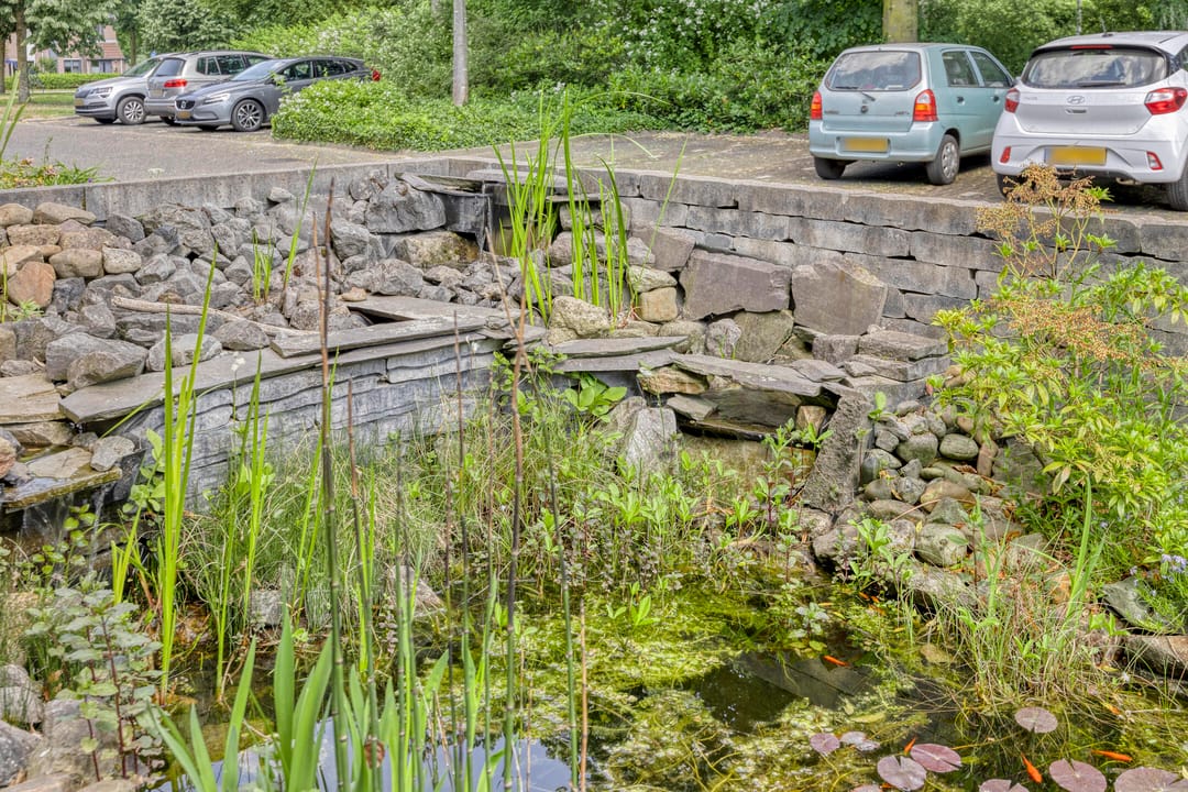 Foto 28 van Korhoender 91