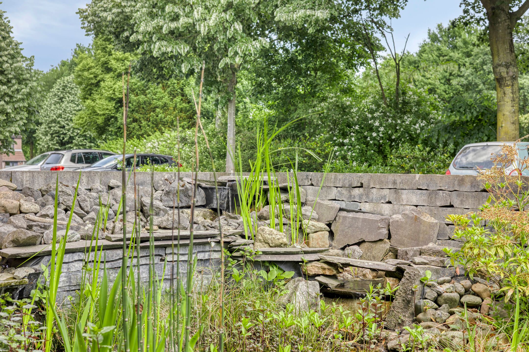 Foto 30 van Korhoender 91