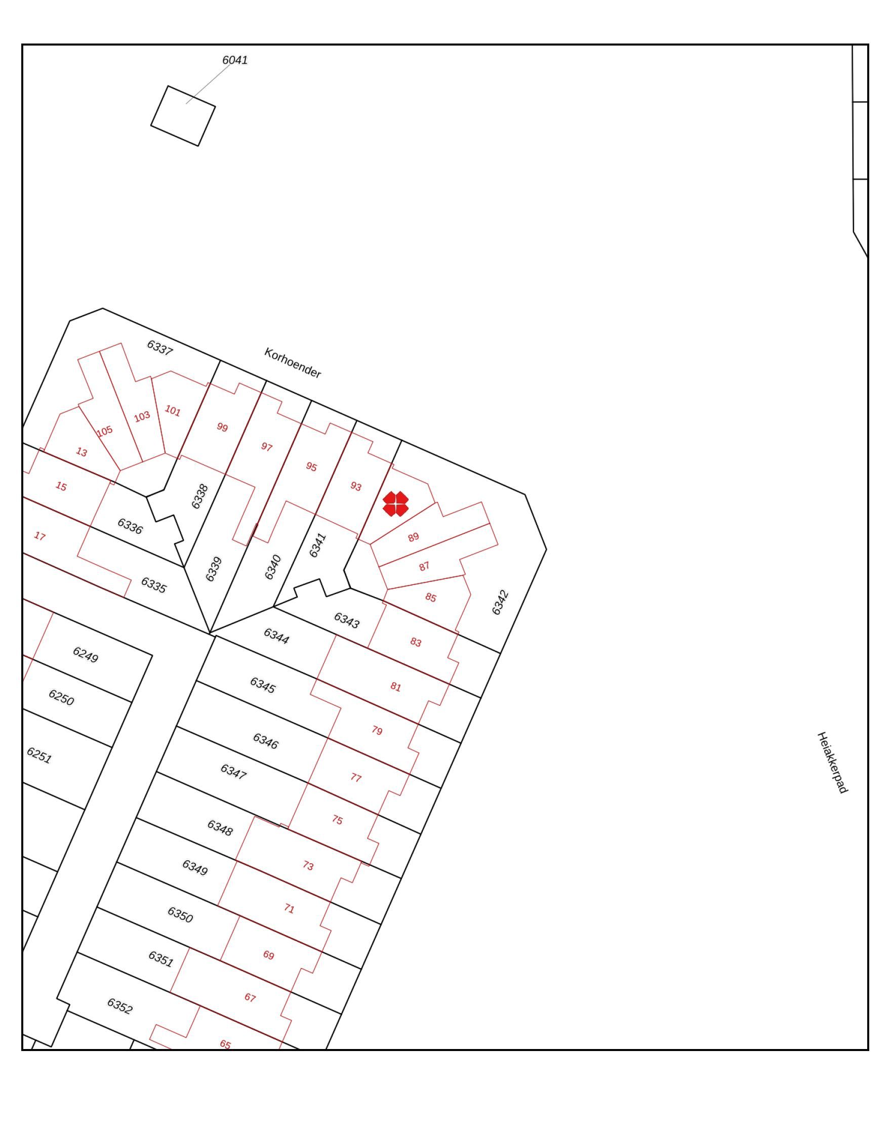 Foto 33 van Korhoender 91