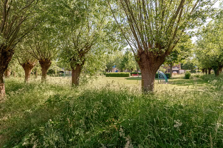 Foto 2 van Tamarastraat 43