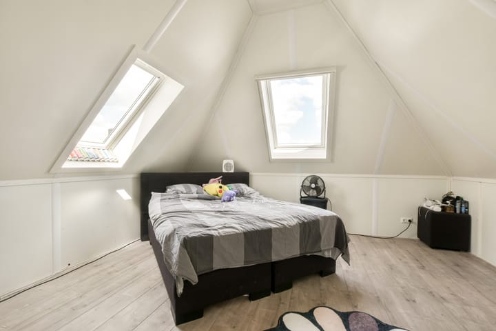 Foto 17 van Prinses Alexialaan 19