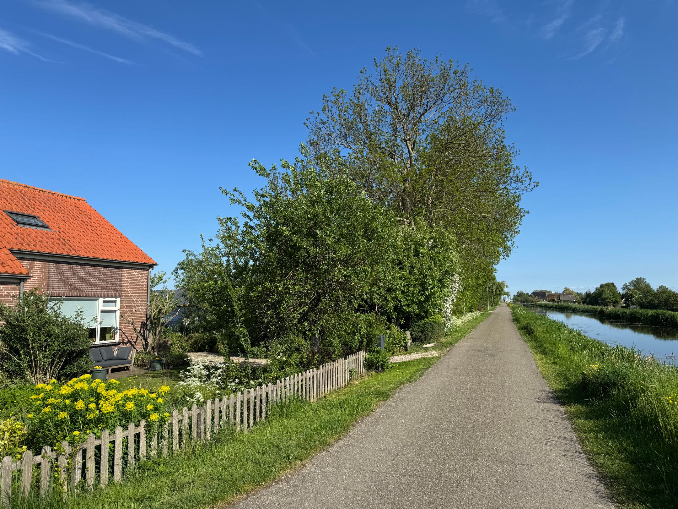 Foto 3 van Ofwegen 15