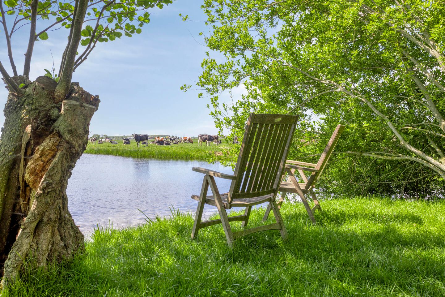 Foto 4 van Ofwegen 15