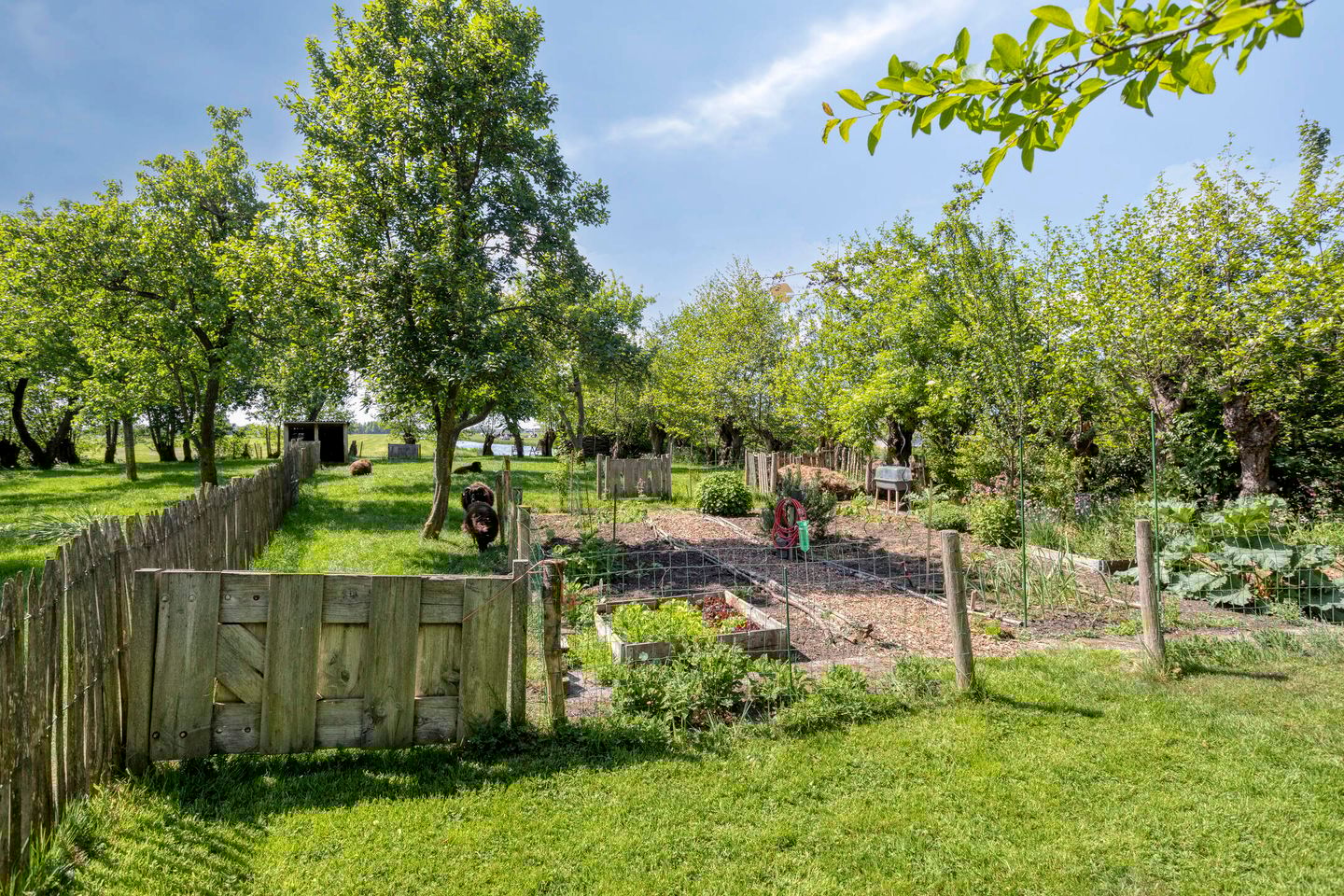 Foto 20 van Ofwegen 15