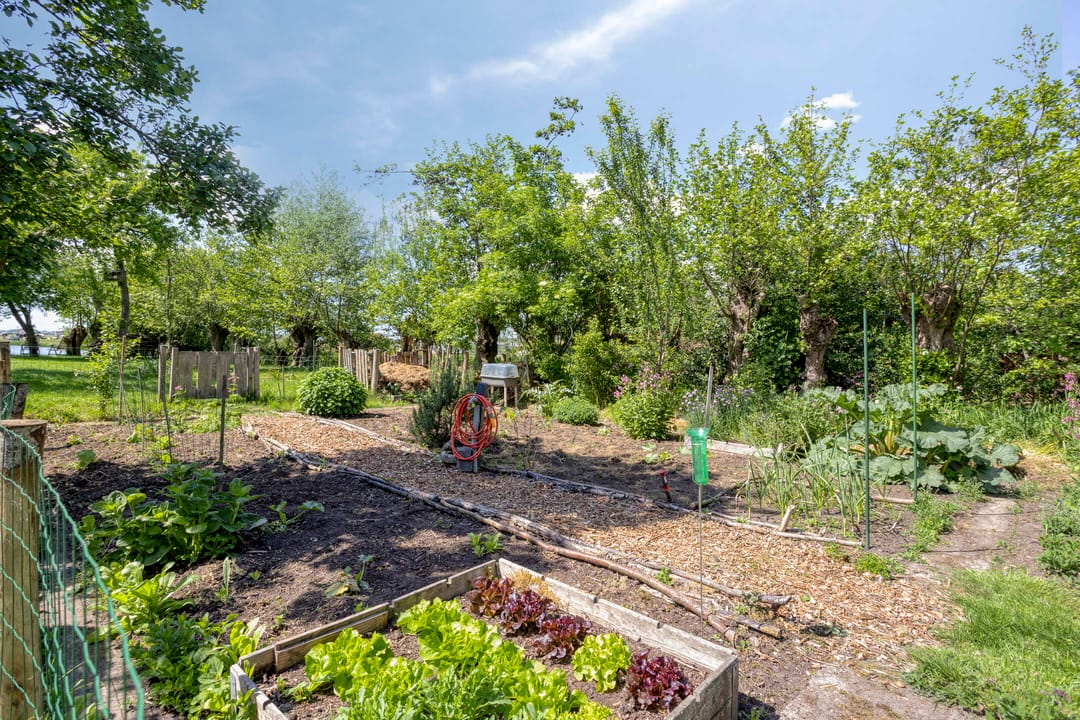 Foto 23 van Ofwegen 15