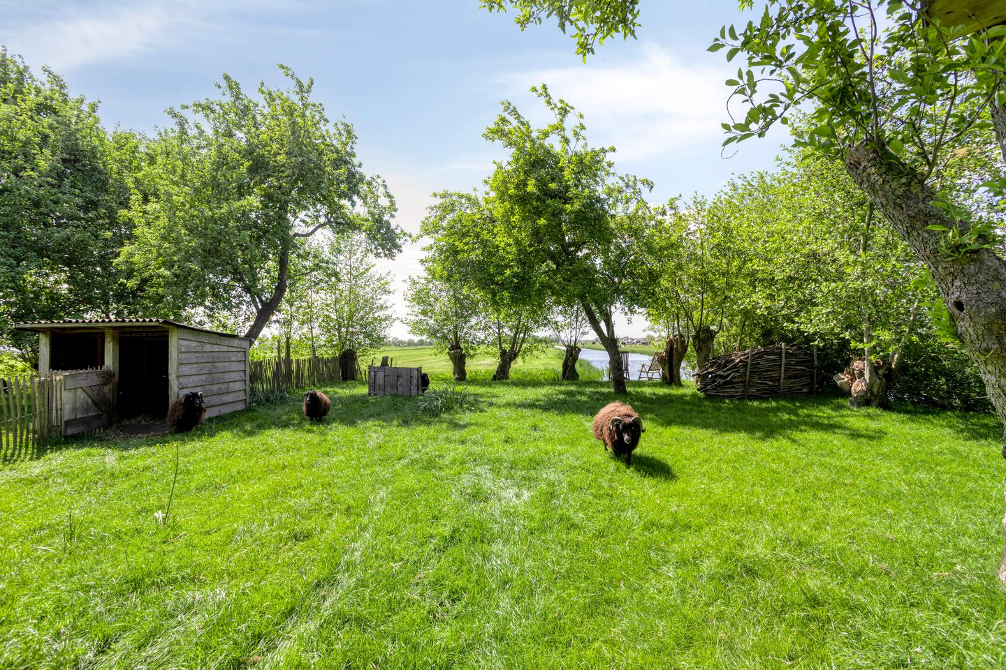 Foto 29 van Ofwegen 15