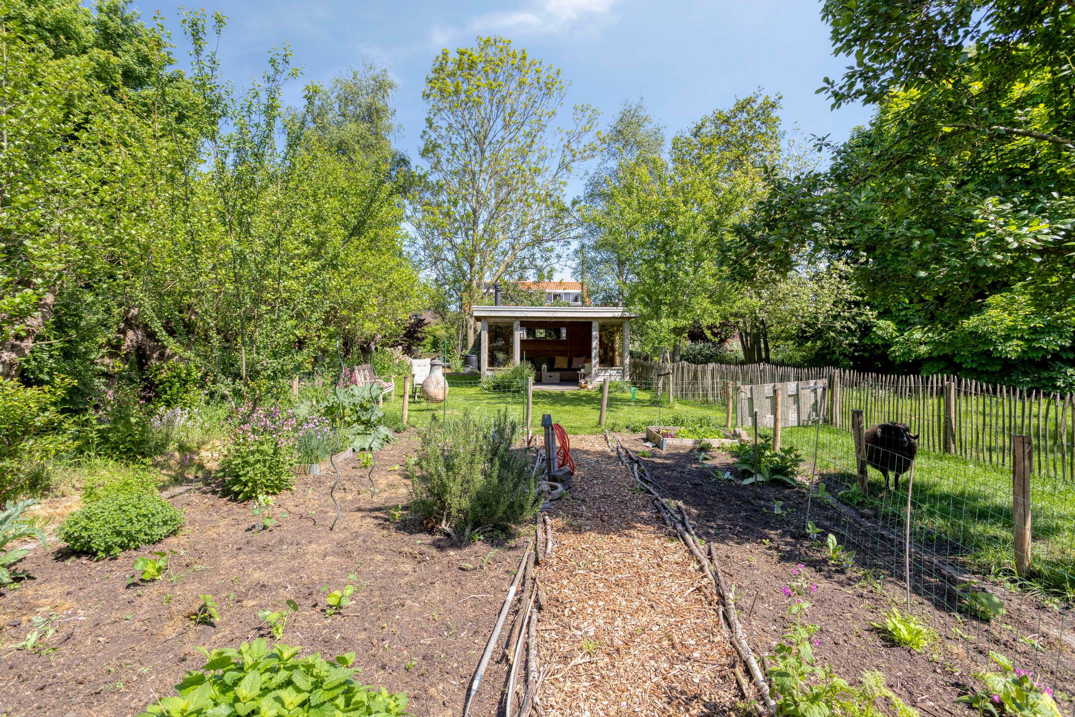 Foto 24 van Ofwegen 15