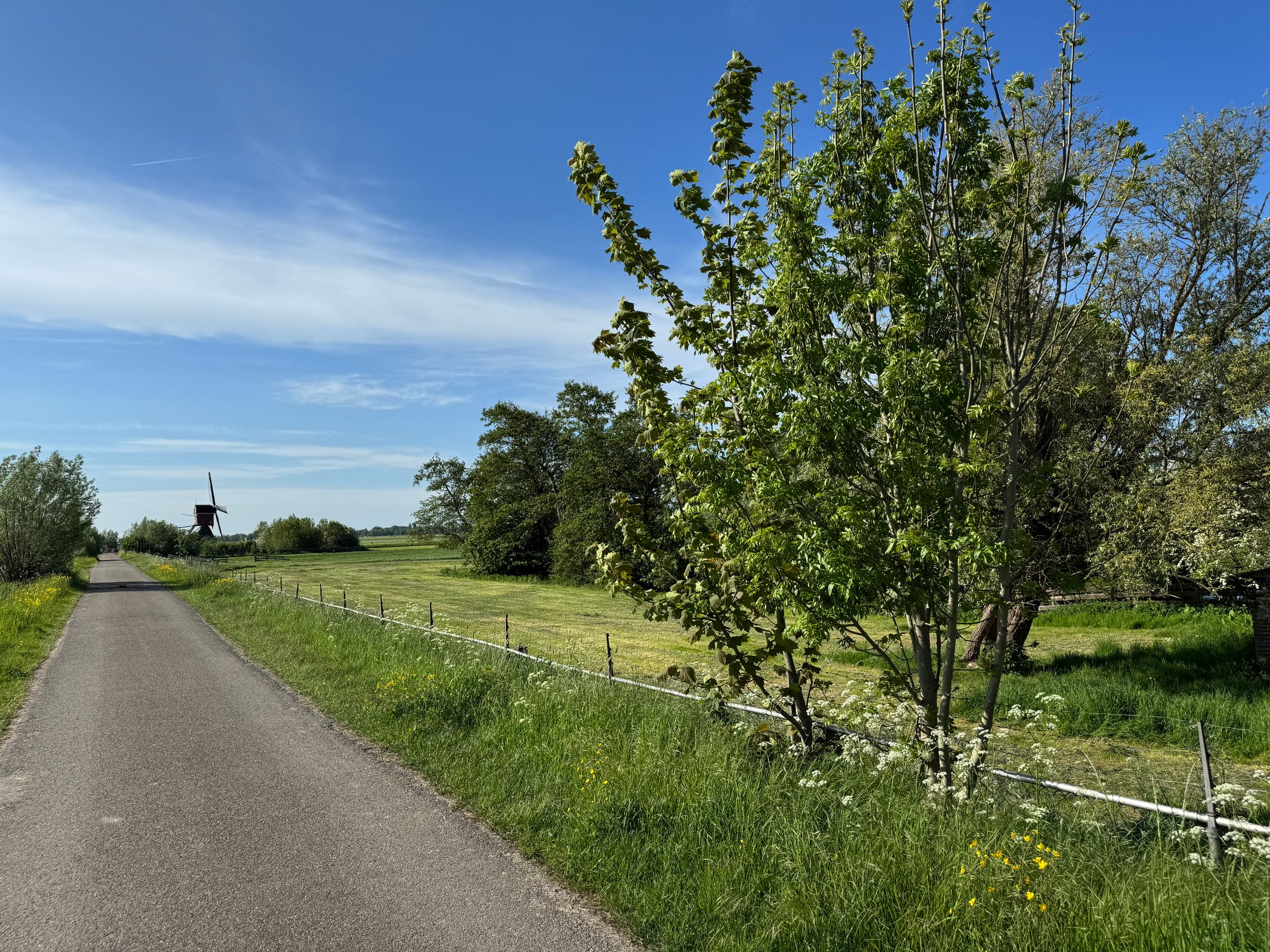 Foto 54 van Ofwegen 15