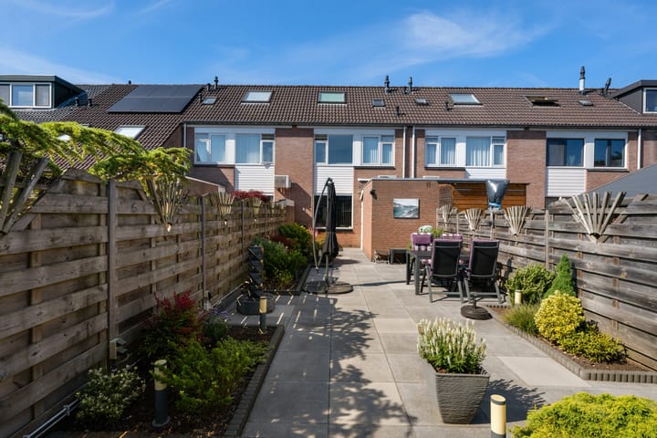 Foto 1 van Bilzekruid 8