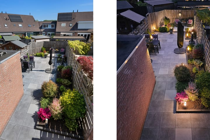 Foto 2 van Bilzekruid 8