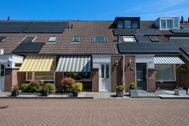 Foto 3 van Bilzekruid 8