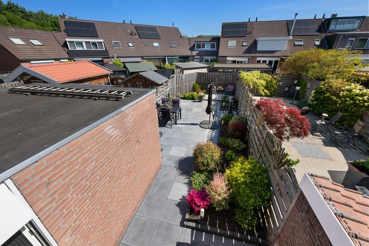 Foto 26 van Bilzekruid 8