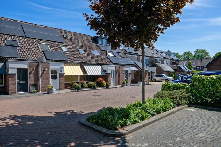 Foto 30 van Bilzekruid 8