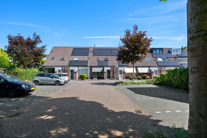 Foto 31 van Bilzekruid 8