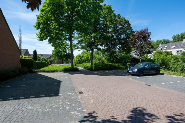 Foto 32 van Bilzekruid 8