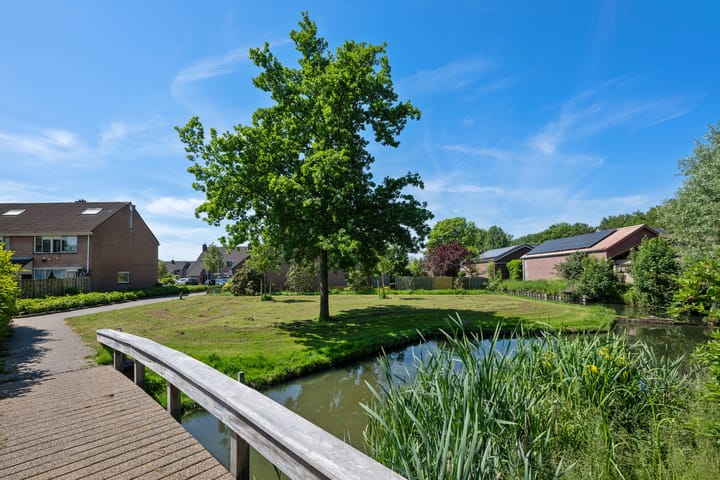 Foto 33 van Bilzekruid 8